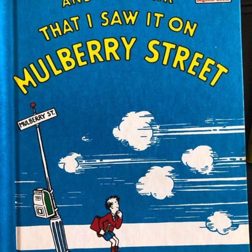 Dr Seuss Mulberry Street Hard Cover Book